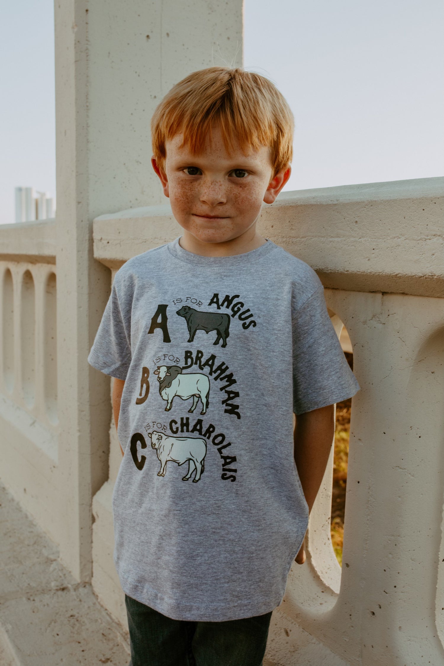 ABC Cows