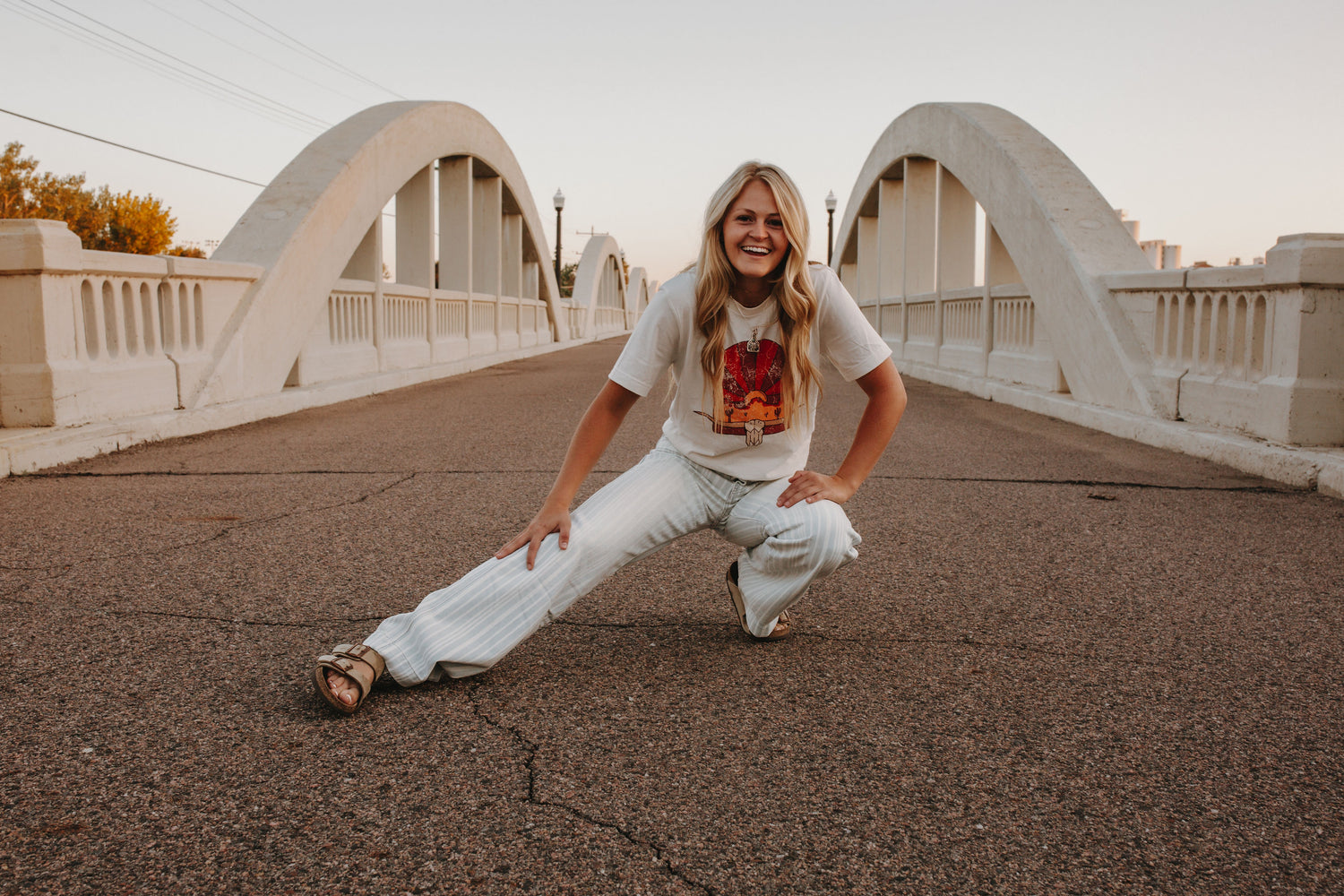 Longhorn Sunset Western