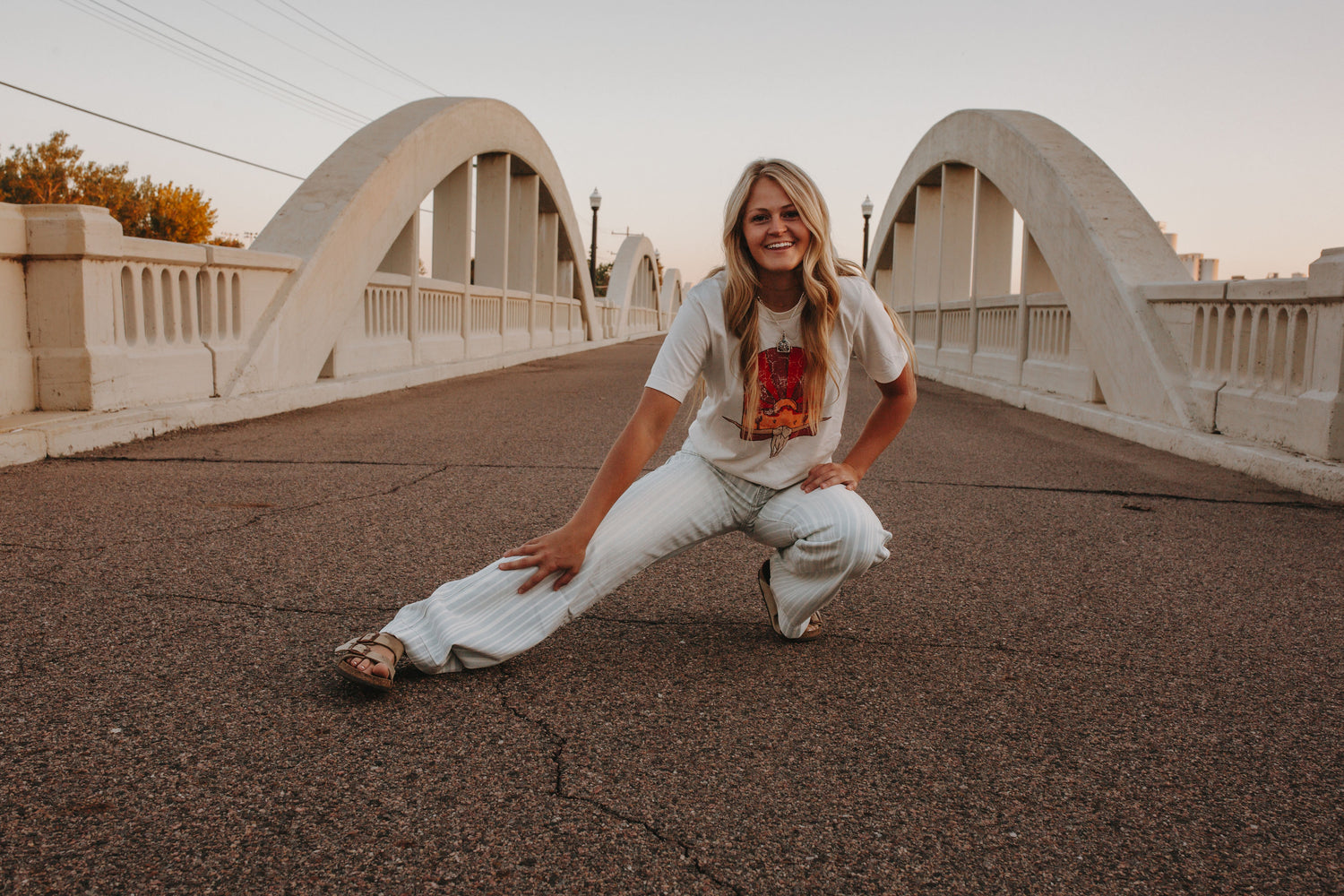 Longhorn Sunset Western