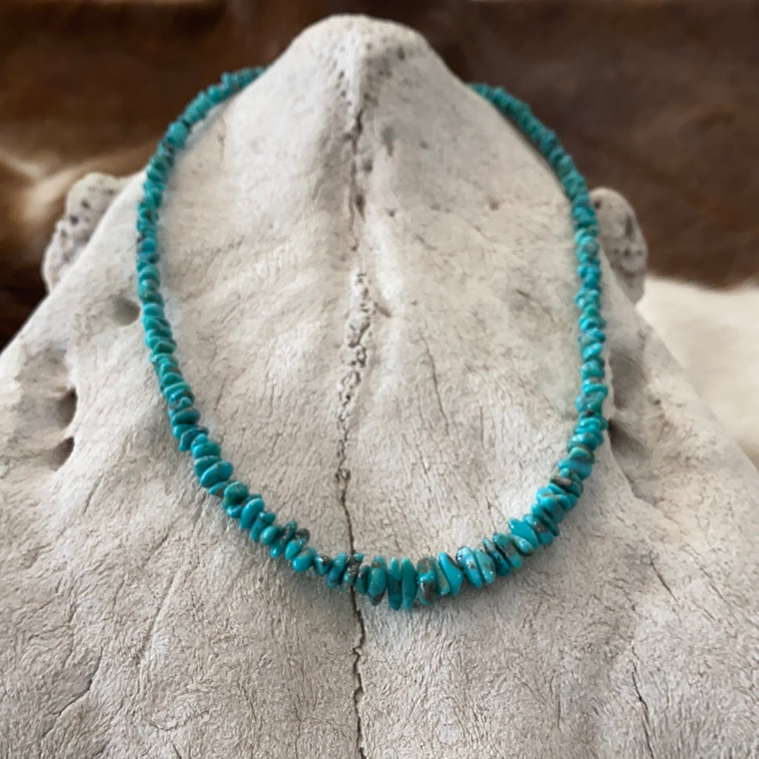Campitos Turquoise