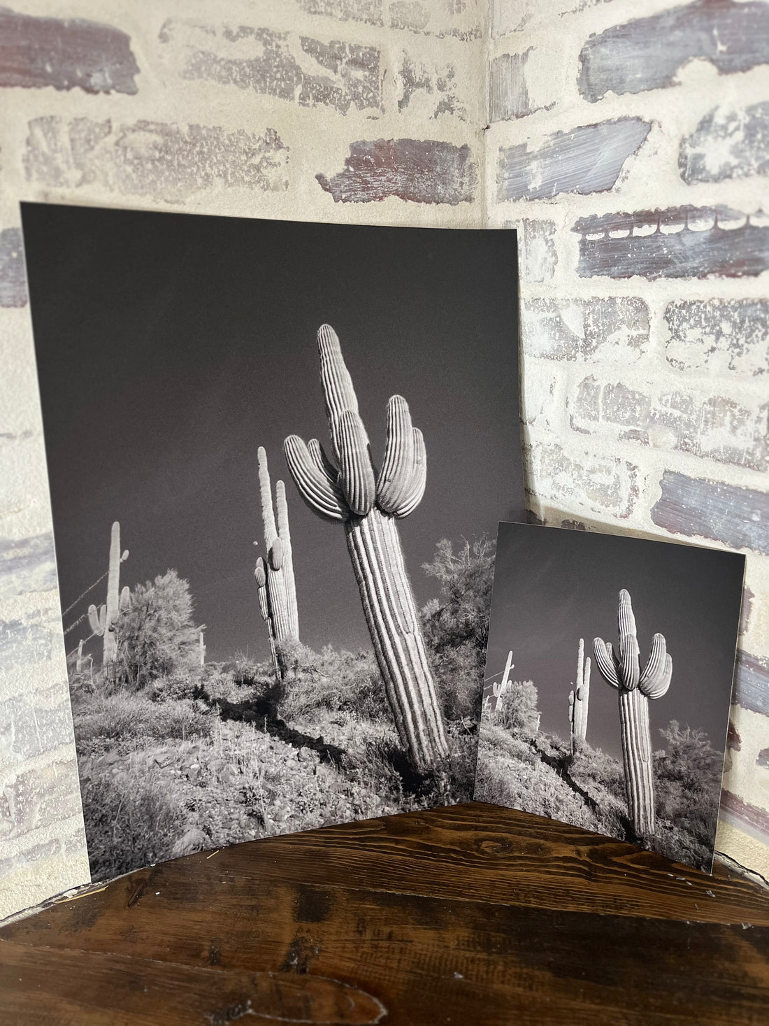 Senior Saguaro Print