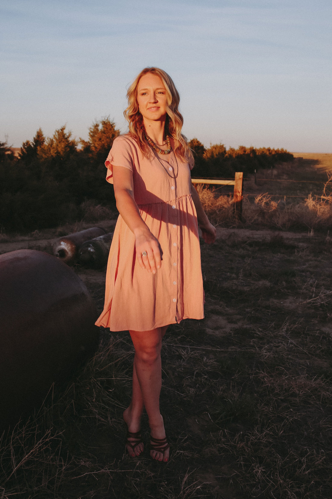 Josey Empire Waist Dress