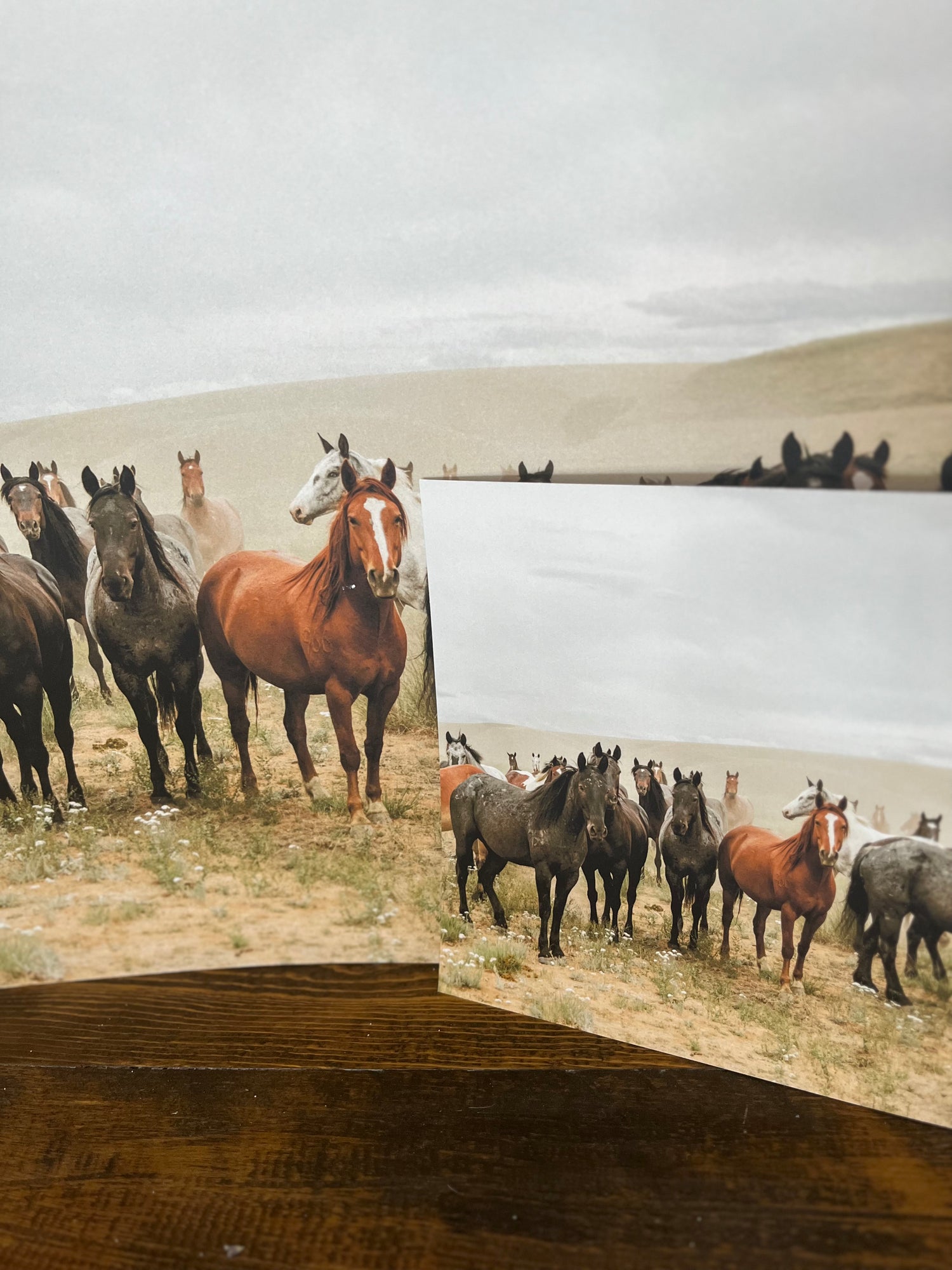All The Pretty Horses Print